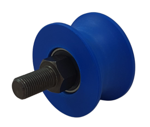 BV000021211N